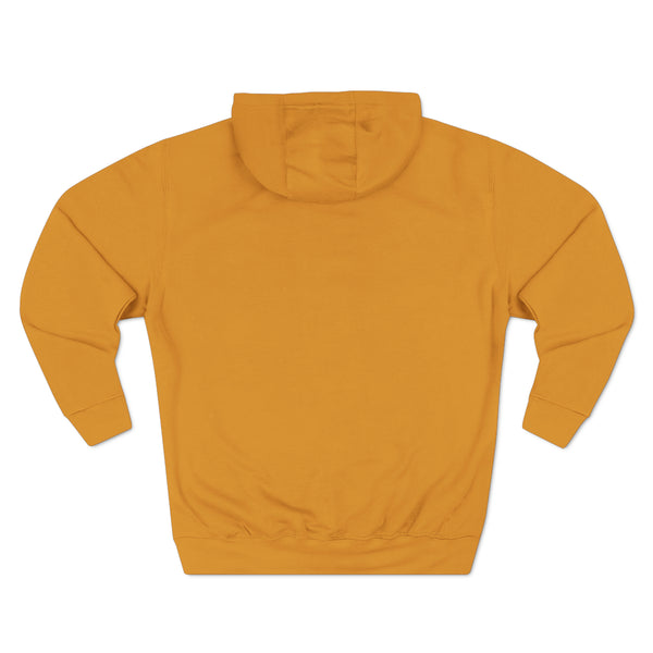 hoodie for urban outfits